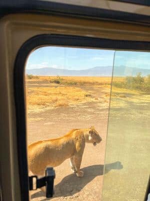 Andrea & Jordi, Girona Andrea & Jordi, Girona