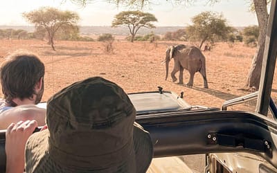 ¿Qué llevar a un safari?