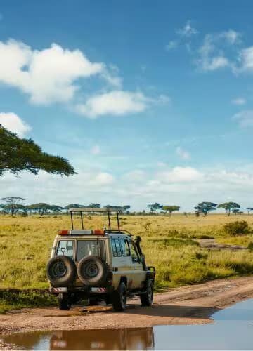 Safari + Zanzíbar | Sènia Safari